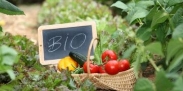 ΟΠΕΚΕΠΕ: Ανακοίνωση σχετικά με τις πληρωμές του Μ11«Βιολογικές καλλιέργειες»