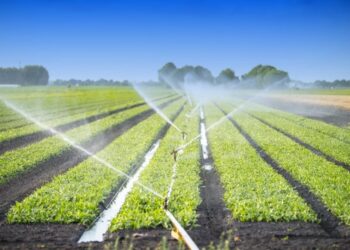 Χαράλαμπος Κασίμης: “Εγγειοβελτιωτικά έργα: Τα λόγια τα μεγάλα της ΝΔ”