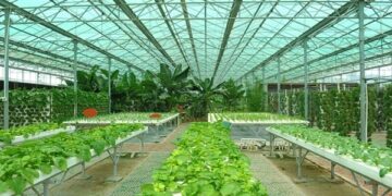 Αύξηση των ποσών της οικονομικής ενίσχυσης ζητούν οι Κρητικοί αγρότες από τον Πρωθυπουργό