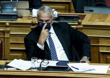 Μ. Βορίδης: Δίκαιη τιμωρία η ποινή κάθειρξης έως 10 έτη για τους βασανιστές ζώων
