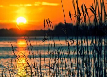 ΥΠΕΝ: «Δίχτυ προστασίας» στα προστατευόμενα είδη και τους τύπους οικοτόπων της χώρας