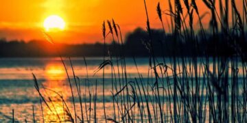 ΥΠΕΝ: «Δίχτυ προστασίας» στα προστατευόμενα είδη και τους τύπους οικοτόπων της χώρας