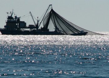 Τελευταία ευκαιρία επιδότησης της απόσυρσης του αλιευτικού εργαλείου   «γρίπος, που σύρεται από σκάφος ή βιντζότρατα»