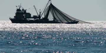 Τελευταία ευκαιρία επιδότησης της απόσυρσης του αλιευτικού εργαλείου   «γρίπος, που σύρεται από σκάφος ή βιντζότρατα»