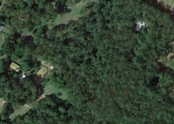 Μιχάλης Κατρίνης: Οι δασικοί χάρτες πονοκέφαλος για τους Ηλείους πολίτες