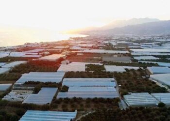Αγροτικός Σύλλογος Ιεράπετρας: Απολογισμός ζημιών σε αγροτικές περιούσιες