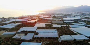 Αγροτικός Σύλλογος Ιεράπετρας: Απολογισμός ζημιών σε αγροτικές περιούσιες