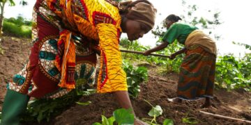 Χαράλαμπος Κασίμης: “Είμαστε μακριά από τον στόχο της διατροφικής ασφάλειας”