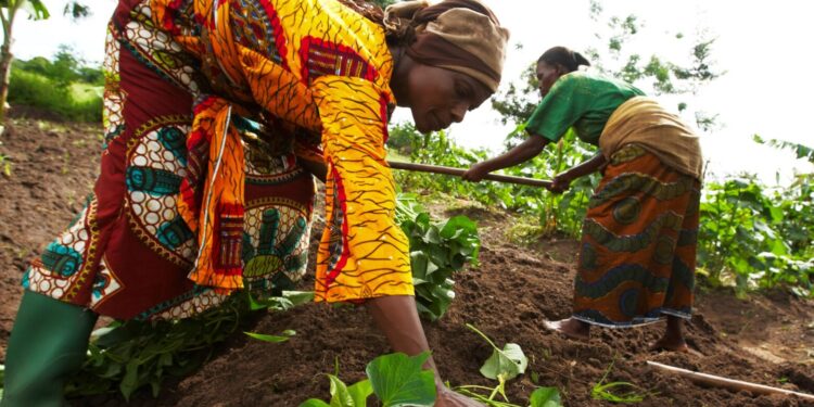 Χαράλαμπος Κασίμης: “Είμαστε μακριά από τον στόχο της διατροφικής ασφάλειας”