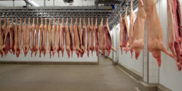 Η Εταιρία Σφαγεία Κοζάνης Ο.Ε θα παραμείνει κλειστή λόγω επιβεβαιωμένου κρούσματος COVID-19