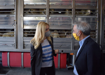 Το Σχέδιο Ελέγχου για την αποτροπή των «ελληνοποιήσεων» επέβλεψε στον Προμαχώνα η Φωτεινή Αραμπατζή