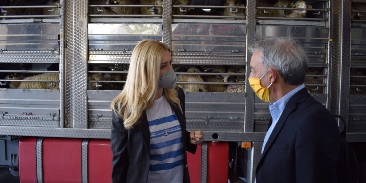 Το Σχέδιο Ελέγχου για την αποτροπή των «ελληνοποιήσεων» επέβλεψε στον Προμαχώνα η Φωτεινή Αραμπατζή