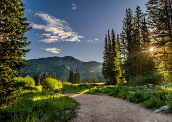 ΜέΡΑ 25: Δασικοί Χάρτες – Ένα ακόμη δώρο στο ΤΑΙΠΕΔ!