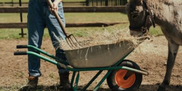 Στ. Αραχωβίτης – Ολ. Τελιγιορίδου – Σ. Βαρδάκης: «Νέοι Γεωργοί: Καταδίκη στη γήρανση και τον μαρασμό για κλάδους και ολόκληρες αγροτικές περιοχές»