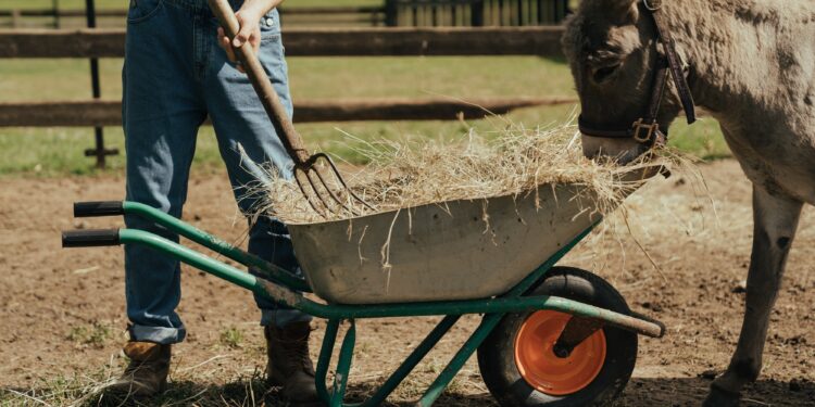 Στ. Αραχωβίτης – Ολ. Τελιγιορίδου – Σ. Βαρδάκης: «Νέοι Γεωργοί: Καταδίκη στη γήρανση και τον μαρασμό για κλάδους και ολόκληρες αγροτικές περιοχές»
