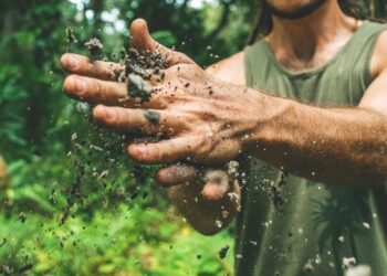 ΥΠΑΑΤ: Λύση στη διαδικασία μετάκλησης εργατών γης από τρίτες χώρες με νέα ρύθμιση Λιβανού