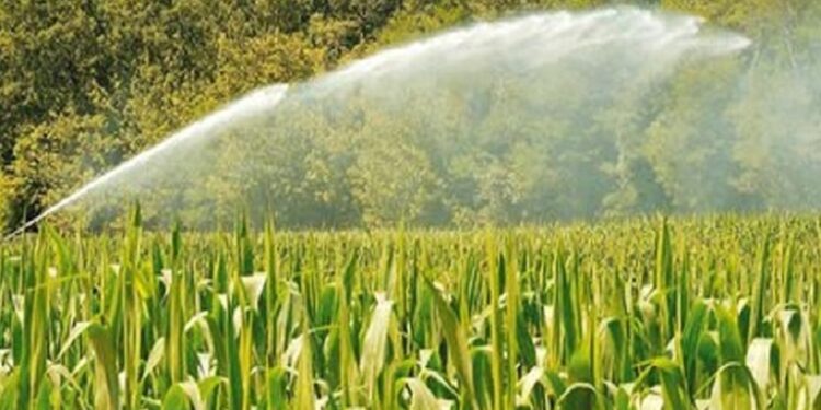 Θέμης Χειμάρας: «Να μην μείνει χωρίς νερό το χωράφι κανενός Αγρότη»