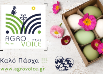 Καλή Ανάσταση και καλό Πάσχα!!!!