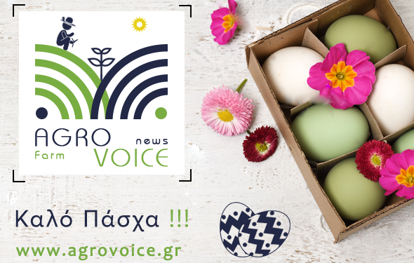 Καλή Ανάσταση και καλό Πάσχα!!!!
