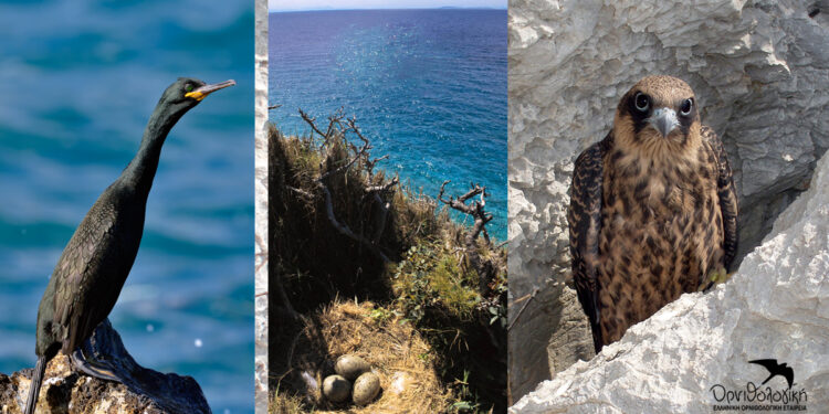 Εμβληματική ΝΙΚΗ για τις νησίδες του Ν. Αιγαίου και τη βιοποικιλότητα του νησιωτικού χώρου