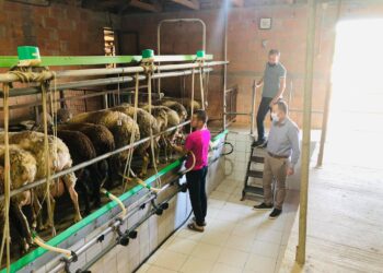 Κόκκαλης: Ανεβαίνει το κόστος παραγωγής στους κτηνοτρόφους, αδικαιολόγητες οι καθυστερήσεις στις επιδοτήσεις