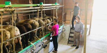 Κόκκαλης: Ανεβαίνει το κόστος παραγωγής στους κτηνοτρόφους, αδικαιολόγητες οι καθυστερήσεις στις επιδοτήσεις