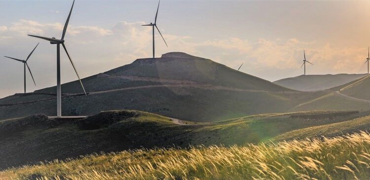 ΜέΡΑ25: Εν κρυπτώ και πάνω σε απορριφθέν έργο η εγκατάσταση ανεμογεννητριών δίπλα στους οικισμούς Αετός & Νυμφαίο στη Φλώρινα εντός δασικής έκτασης