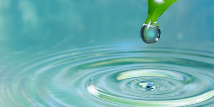 Σε δημόσια διαβούλευση η Υ.Α : «Κώδικας Ορθής Γεωργικής Πρακτικής για την Προστασία των Νερών από τη Νιτρορύπανση Γεωργικής Προέλευσης»