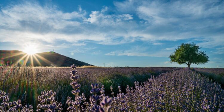 Ιδιαίτερη προσοχή λόγω των υψηλών θερμοκρασιών