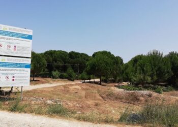 Η αντιπυρική προστασία δεν μπορεί να καταστρέφει σπάνια προστατευόμενα δάση