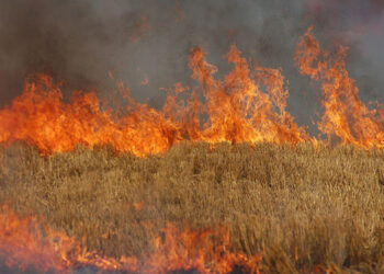 Καύση αγροτικών εκτάσεων – υπολειμμάτων καλλιεργειών (καλαμιάς)