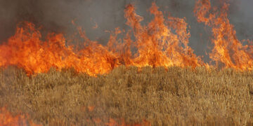 Καύση αγροτικών εκτάσεων – υπολειμμάτων καλλιεργειών (καλαμιάς)