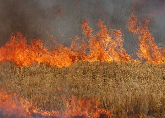 Καύση αγροτικών εκτάσεων – υπολειμμάτων καλλιεργειών (καλαμιάς)
