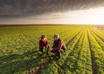 Κίνητρα για τη δημογραφική ανανέωση του αγροτικού πληθυσμού της χώρας ζητά ο Κόκκαλης από τον Λιβανό