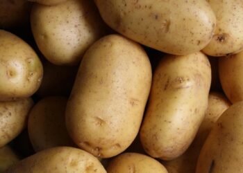 ΥΠΑΑΤ:  Παραπέμπεται εταιρεία που διακινούσε ποσότητες πατάτας με ψεύτικη ένδειξη