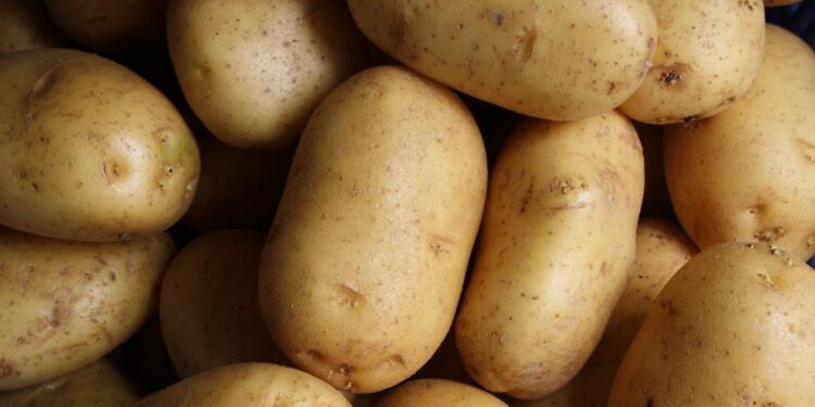 ΥΠΑΑΤ:  Παραπέμπεται εταιρεία που διακινούσε ποσότητες πατάτας με ψεύτικη ένδειξη