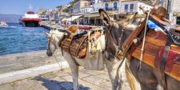 Φωτεινή Αραμπατζή: «Προστατεύουμε τα ζώα εργασίας από τον καύσωνα»