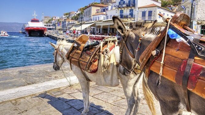 Φωτεινή Αραμπατζή: «Προστατεύουμε τα ζώα εργασίας από τον καύσωνα»