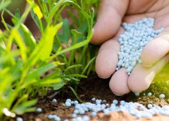 Πρωτόκολλο Συνεργασίας ΥΠΑΑΤ – ΑΑΔΕ για τον έλεγχο των λιπασμάτων