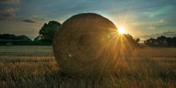 Σε ΦΕΚ η ΚΥΑ σχετικά με την επιχορήγηση αγροτικών εκμεταλλεύσεων για την αποζημίωση των πληγέντων από τις πυρκαγιές της περιόδου Μαΐου-Αυγούστου 2021