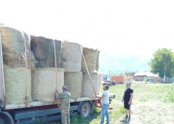 Ο υπό σύσταση Κτηνοτροφικός Σύλλογος Εορδαίας δίπλα στους πυρόπληκτους της Εύβοιας