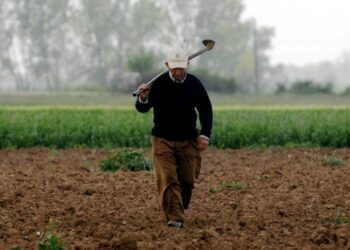 Παγκόσμια Ημέρα Ηλικιωμένων …. αγροτών