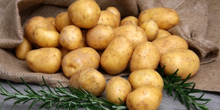 Κατρίνης: Γιατί οι  αγρότες της Ηλείας αντιμετωπίζονται από την κυβέρνηση ως αγρότες δεύτερης κατηγορίας;