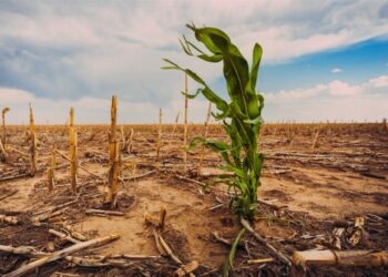 Δεν αρκούν μόνο οι αποζημιώσεις