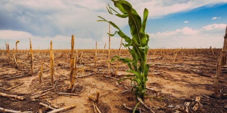 Δεν αρκούν μόνο οι αποζημιώσεις