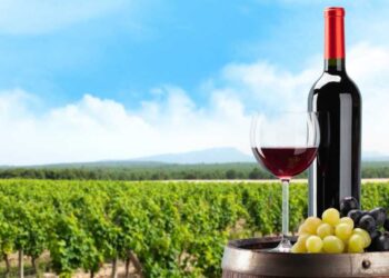 Σε εφαρμογή του μέτρου της απόσταξης οίνου σε περίπτωση κρίσης για το έτος 2021 καταβλήθηκαν 12 εκατ. ευρώ