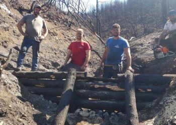 ΥΠΕΝ: Πάνω από 700 δασεργάτες στις πυρόπληκτες περιοχές της Βόρειας Εύβοιας