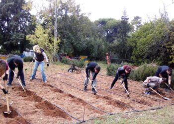 Ξεκίνησε η εγγραφή στα δημόσια αγροτικά ΙΕΚ