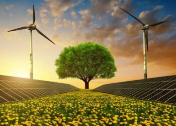 Επίκαιρη ερώτηση της Π. Πέρκα για τη διαθεσιμότητα δικτύου για σύνδεση έργων ενεργειακών κοινοτήτων στις λιγνιτικές περιοχές