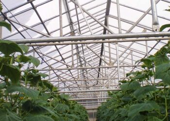 Ενιαίος Αγροτικός Σύλλογος Ιεράπετρας: Δωρεάν στα μέλη του η έκδοση του Μητρώου Αγροτών